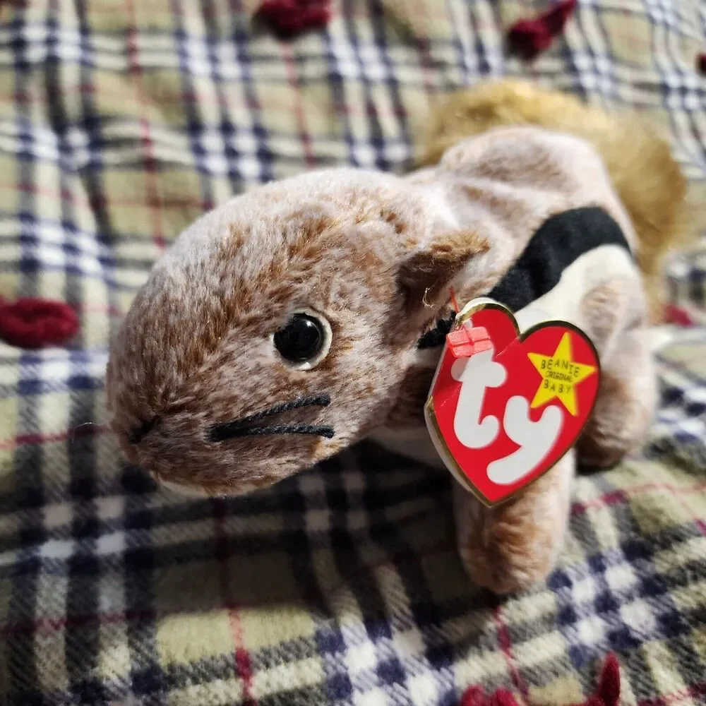 Chipper TY Beanie Baby Collection Retired Rare Errors #4